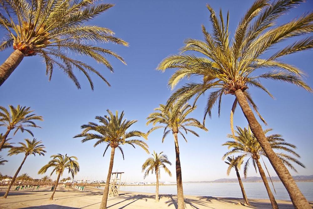 Sahara Nubia Gobi 호텔 Ses Cadenes 외부 사진 Palma de Mallorca