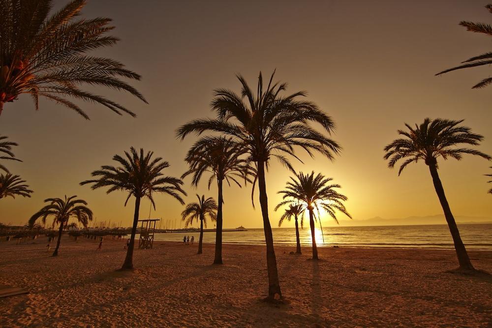 Sahara Nubia Gobi 호텔 Ses Cadenes 외부 사진 Palm trees on the beach at sunset